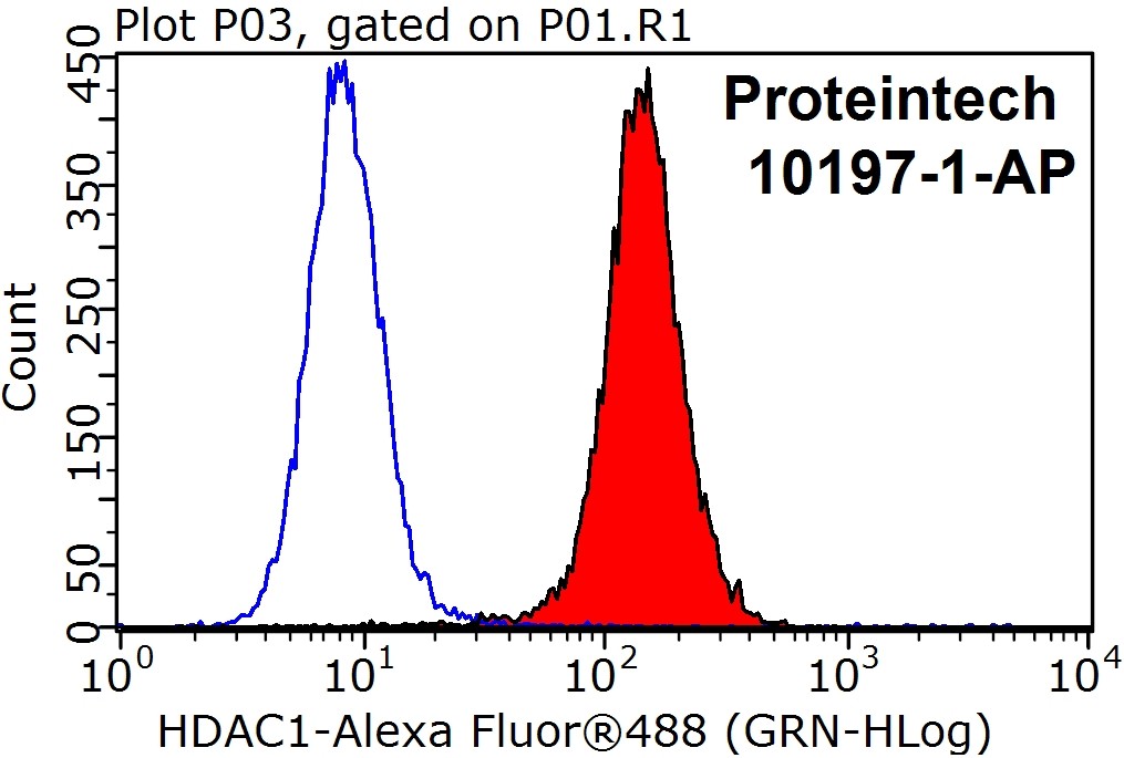 1X10^6 HeLa cells were stained with the 0.2ug HDAC1 antibody (10197-1-AP, red) and a control antibody (blue). Fixed with 90% MeOH blocked with 3% BSA (30 min). Alexa Fluor 488-conjugated AffiniPure Goat Anti-Rabbit IgG (H+L) at a dilution of 1:1000