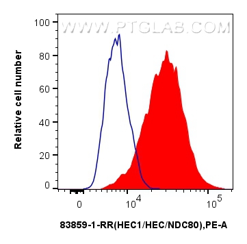 Flow cytometry (FC) experiment of HeLa cells using HEC1/HEC/NDC80 Recombinant antibody (83859-1-RR)