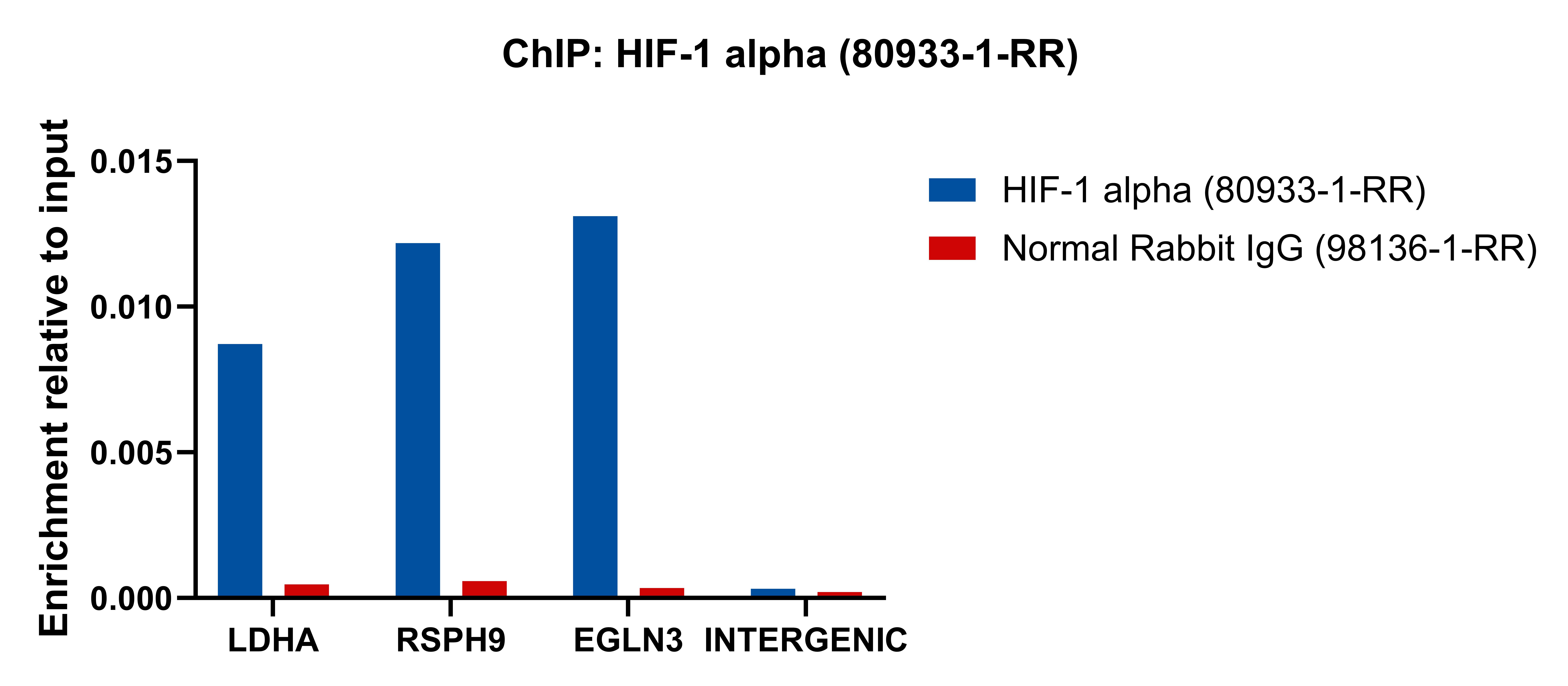 ChIP experiment of HeLa cells using HIF-1 alpha Recombinant antibody (80933-1-RR)