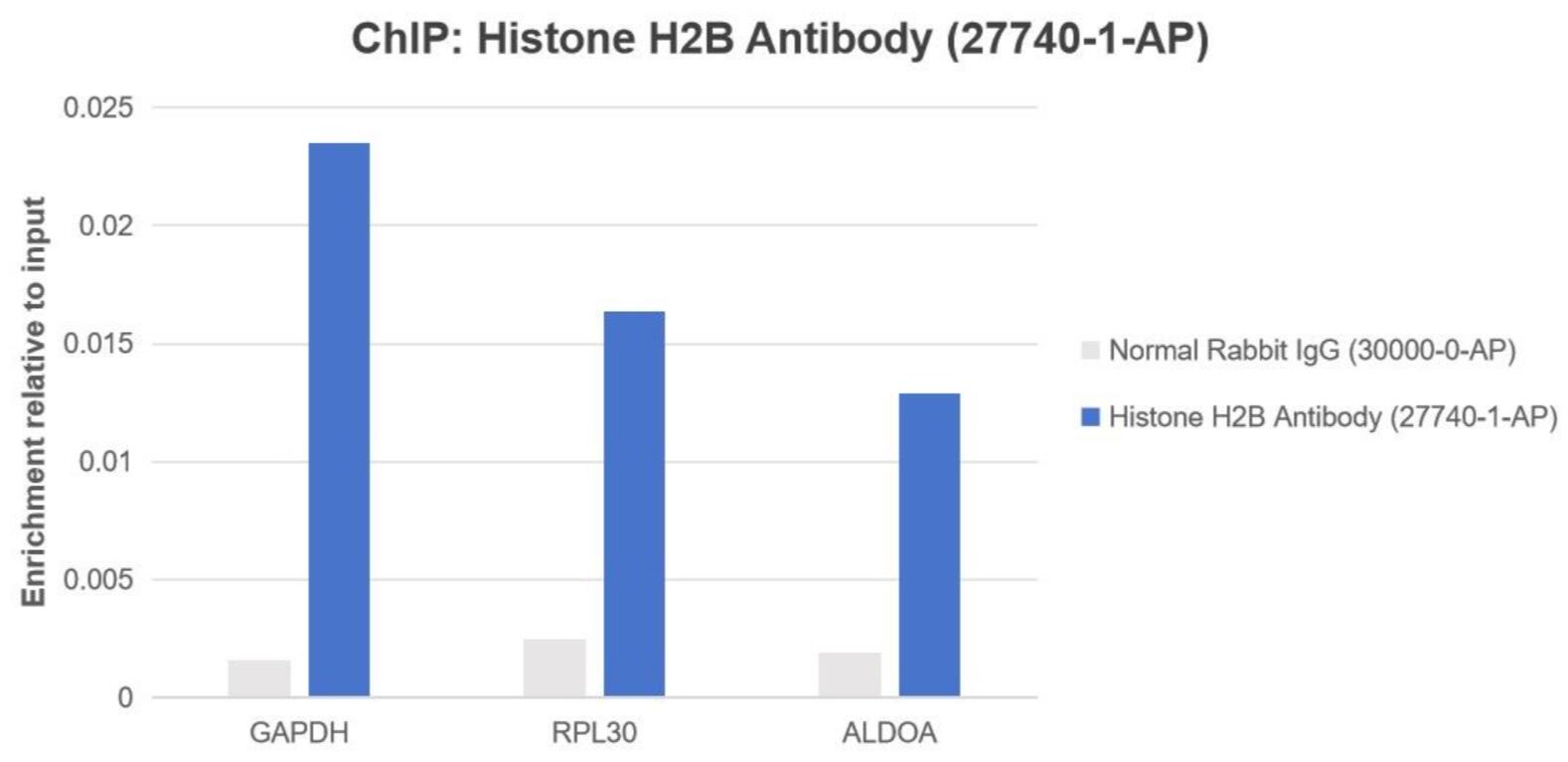 ChIP experiment of HEK-293 cells using Histone H2B Polyclonal antibody (27740-1-AP)