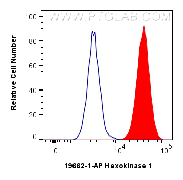 Flow cytometry (FC) experiment of HeLa cells using Hexokinase 1 Polyclonal antibody (19662-1-AP)