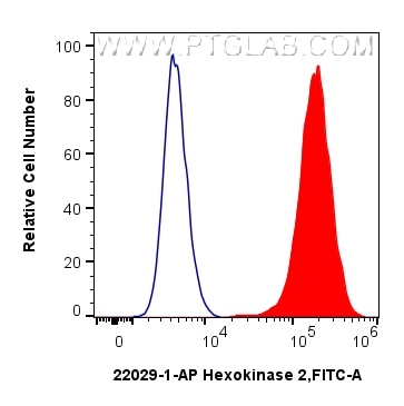 Flow cytometry (FC) experiment of HepG2 cells using Hexokinase 2 Polyclonal antibody (22029-1-AP)