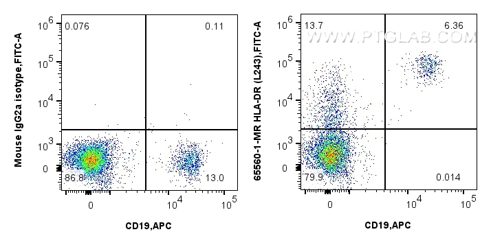 Flow cytometry (FC) experiment of human PBMCs using Anti-Human HLA-DR  (L243) Mouse Recombinant Antibo (65560-1-MR)