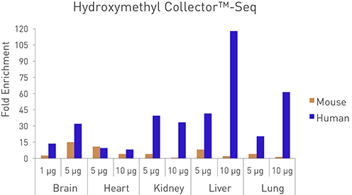 Sensitivity of the Hydroxymethyl Collector–Seq kit as determined from the enrichment of 5-hmC from human and mouse genomic DNA