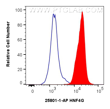 Flow cytometry (FC) experiment of HEK-293 cells using HNF4G Polyclonal antibody (25801-1-AP)