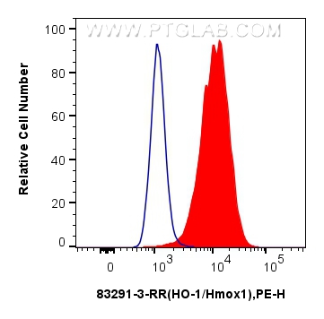 Flow cytometry (FC) experiment of NIH/3T3 cells using HO-1/Hmox1 Recombinant antibody (83291-3-RR)