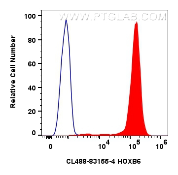 Flow cytometry (FC) experiment of K-562 cells using CoraLite® Plus 488-conjugated HOXB6 Recombinant an (CL488-83155-4)