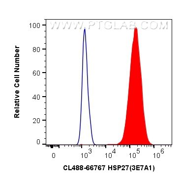 Flow cytometry (FC) experiment of MCF-7 cells using CoraLite® Plus 488-conjugated HSP27 Monoclonal ant (CL488-66767)