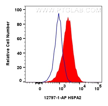 Flow cytometry (FC) experiment of HeLa cells using HSP90 Polyclonal antibody (13171-1-AP)