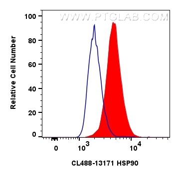 Flow cytometry (FC) experiment of HeLa cells using CoraLite® Plus 488-conjugated HSP90 Polyclonal ant (CL488-13171)