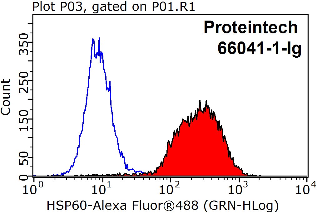 HSP60 antibody (66041-1-Ig)