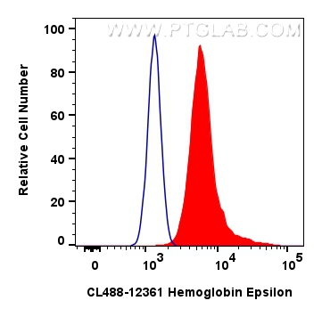 Flow cytometry (FC) experiment of K-562 cells using CoraLite® Plus 488-conjugated Hemoglobin Epsilon P (CL488-12361)