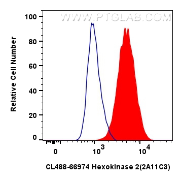 Flow cytometry (FC) experiment of HepG2 cells using CoraLite® Plus 488-conjugated Hexokinase 2 Monoclo (CL488-66974)