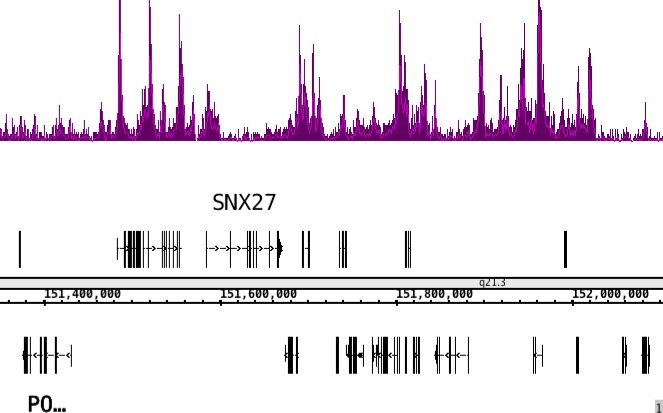 Histone H3K4me1 antibody (mAb) tested by ChIP-Seq ChIP was performed using 10 ug of chromatin from MCF7 cells and 4 ug of antibody. ChIP DNA was sequenced and 19 million sequence tags were mapped to identify Histone H3K4me1 binding sites.