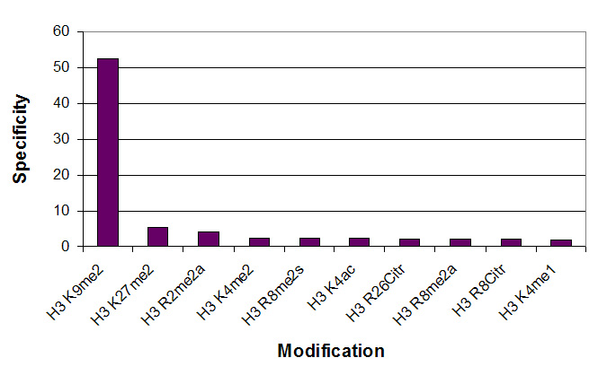 Histone H3K9me2 antibody specificity tested by peptide array analysis. Peptide array analysis was used to confirm the specificity of this antibody for its intended modification. Histone H3 dimethyl Lys9 antibody was applied at a dilution of 1:15,000 to Active Motif's MODified Histone Peptide Array (Catalog No. 13001). The arrays were scanned with ArrayAnalysis Software 7 and the results plotted. Specificity data is shown for the most reactive peptides.