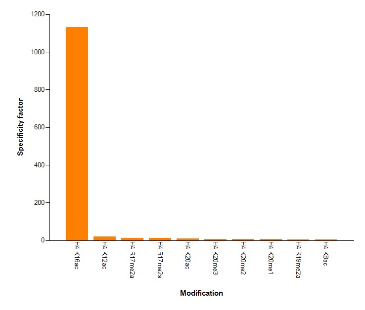 Histone H4K16ac antibody (mAb) specificity tested by peptide array analysis. Peptide array analysis was used to confirm the specificity of this antibody for its intended modification. Histone H4K16ac antibody (mAb) was applied at a dilution of 0.7 ug/ml to Active Motif's MODified Histone Peptide Array (Catalog No. 13001). The arrays were scanned with ArrayAnalysis Software 7 and the results plotted. Specificity data is shown for the most reactive peptides and those related to the immunogen.