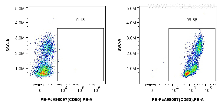 Flow cytometry (FC) experiment of human PBMCs using FcZero-rAb™ PE Anti-Human ICAM3/CD50 Rabbit Recomb (PE-FcA98097)
