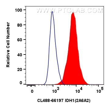 Flow cytometry (FC) experiment of HepG2 cells using CoraLite® Plus 488-conjugated IDH1 Monoclonal anti (CL488-66197)