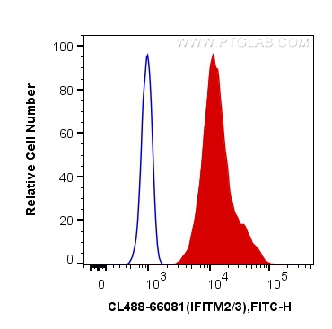 Flow cytometry (FC) experiment of HeLa cells using CoraLite® Plus 488-conjugated IFITM2/3 Monoclonal  (CL488-66081)