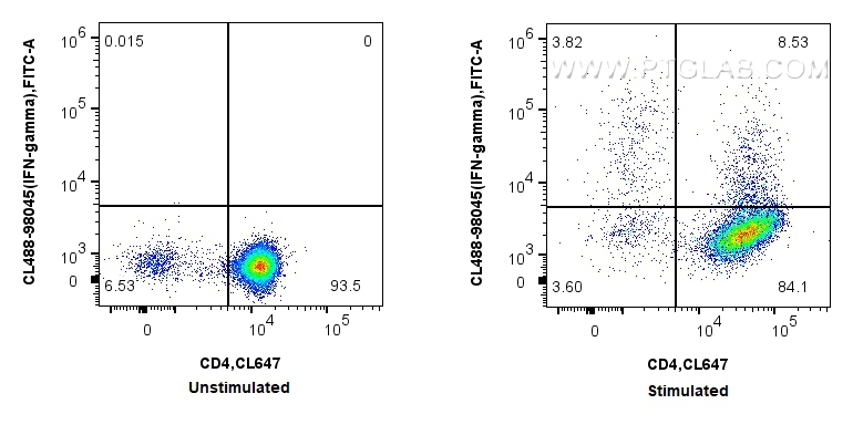 Flow cytometry (FC) experiment of C57BL/6 Th1-polarized splenocytes using CoraLite® Plus 488 Anti-Mouse IFN-gamma Rabbit Rec (CL488-98045)