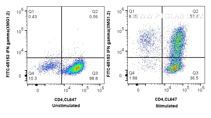 Flow cytometry (FC) experiment of C57BL/6 Th1-polarized splenocytes using FITC Plus Anti-Mouse IFN-gamma (XMG1.2) (FITC-65153)