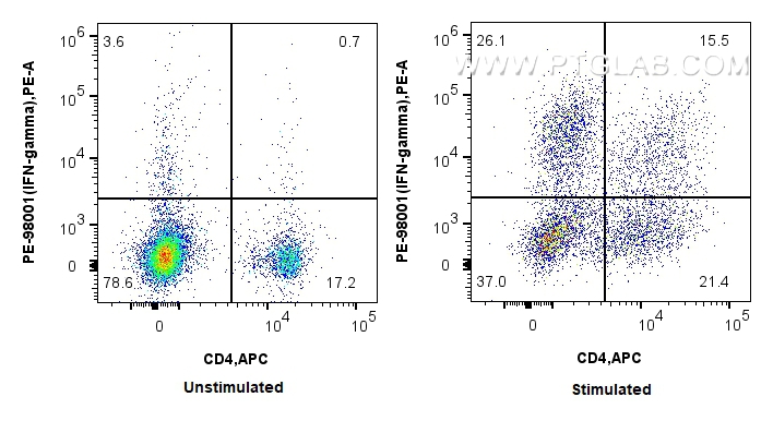 Flow cytometry (FC) experiment of rat splenocytes cells using PE Anti-Rat IFN-gamma Rabbit Recombinant Antibody (PE-98001)