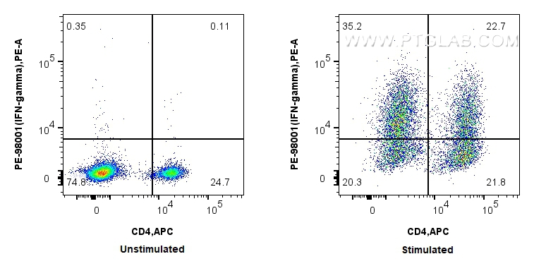 Flow cytometry (FC) experiment of rat splenocytes cells using PE Anti-Rat IFN-gamma Rabbit Recombinant Antibody (PE-98001)