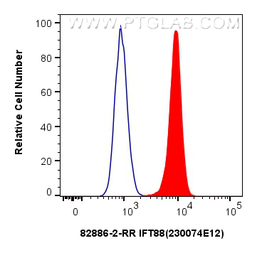 Flow cytometry (FC) experiment of HEK-293 cells using IFT88 Recombinant antibody (82886-2-RR)