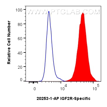 Flow cytometry (FC) experiment of HepG2 cells using IGF2R-Specific Polyclonal antibody (20253-1-AP)