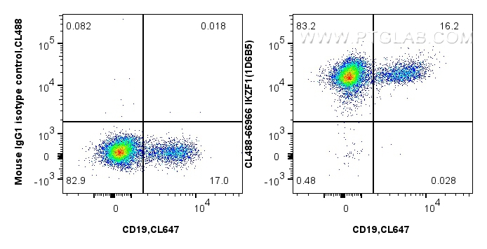 Flow cytometry (FC) experiment of human PBMCs using CoraLite® Plus 488-conjugated IKZF1 Monoclonal ant (CL488-66966)