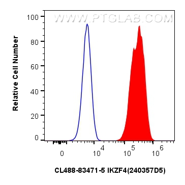 Flow cytometry (FC) experiment of HeLa cells using CoraLite® Plus 488-conjugated IKZF4 Recombinant an (CL488-83471-5)