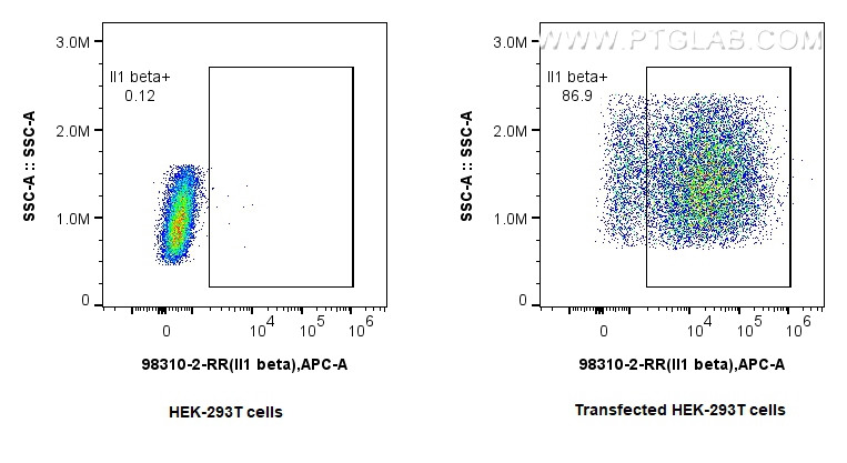 Flow cytometry (FC) experiment of Transfected HEK-293T cells using Anti-Rat IL-1 beta Rabbit Recombinant Antibody (98310-2-RR)