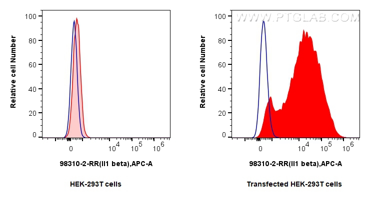 Flow cytometry (FC) experiment of Transfected HEK-293T cells using Anti-Rat IL-1 beta Rabbit Recombinant Antibody (98310-2-RR)