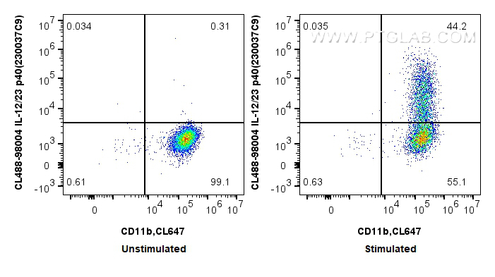 Flow cytometry (FC) experiment of mouse peritoneal macrophages using CoraLite® Plus 488 Anti-Mouse IL-12/23 p40 (230037 (CL488-98004)