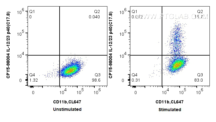 Flow cytometry (FC) experiment of RAW 264.7 cells using PerCP-Cyanine5.5 Anti-Mouse IL-12/23 p40 Rabbit Re (CPY5-98004)