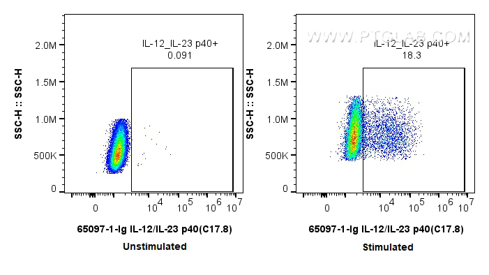 Flow cytometry (FC) experiment of RAW 264.7 cells using Anti-Mouse IL-12/IL-23 p40 (C17.8) (65097-1-Ig)