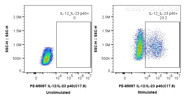 Flow cytometry (FC) experiment of RAW 264.7 cells using PE Anti-Mouse IL-12/IL-23 p40 (C17.8) (PE-65097)