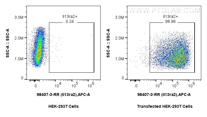 Flow cytometry (FC) experiment of Transfected HEK-293T cells using Anti-Mouse IL-13RA2 Rabbit Recombinant Antibody (98407-3-RR)
