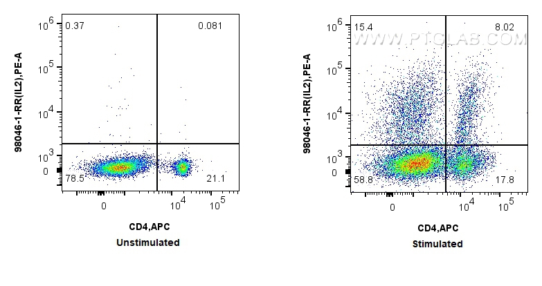 Flow cytometry (FC) experiment of rat splenocytes cells using Anti-Rat IL-2 Rabbit Recombinant Antibody (98046-1-RR)