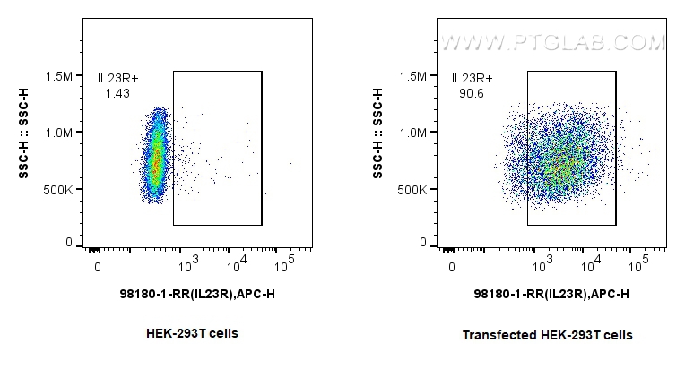 Flow cytometry (FC) experiment of Transfected HEK-293T cells using Anti-Human IL-23R Rabbit Recombinant Antibody (98180-1-RR)