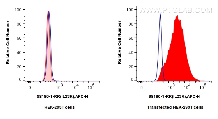 Flow cytometry (FC) experiment of Transfected HEK-293T cells using Anti-Human IL-23R Rabbit Recombinant Antibody (98180-1-RR)