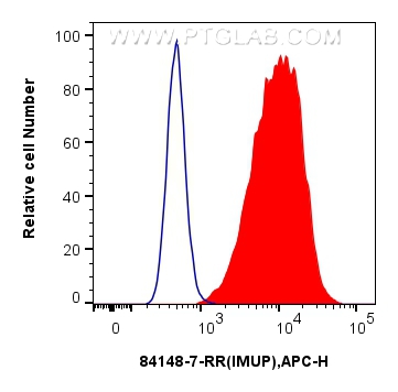 Flow cytometry (FC) experiment of A431 cells using IMUP Recombinant antibody (84148-7-RR)