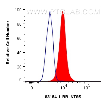 Flow cytometry (FC) experiment of HeLa cells using INTS5 Recombinant antibody (83154-1-RR)