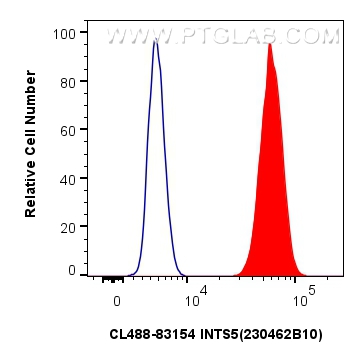 Flow cytometry (FC) experiment of HeLa cells using CoraLite® Plus 488-conjugated INTS5 Recombinant an (CL488-83154)