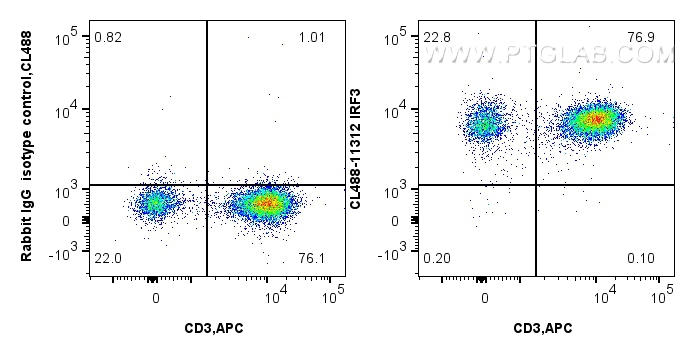 Flow cytometry (FC) experiment of human peripheral blood lymphocytes using CoraLite® Plus 488-conjugated IRF3 Polyclonal anti (CL488-11312)