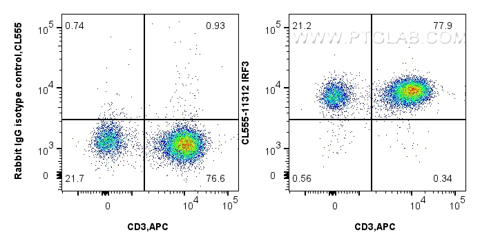 Flow cytometry (FC) experiment of human peripheral blood lymphocytes using CoraLite®555-conjugated IRF3 Polyclonal antibody (CL555-11312)