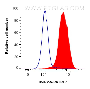 Flow cytometry (FC) experiment of Jurkat cells using IRF7 Recombinant antibody (85072-5-RR)