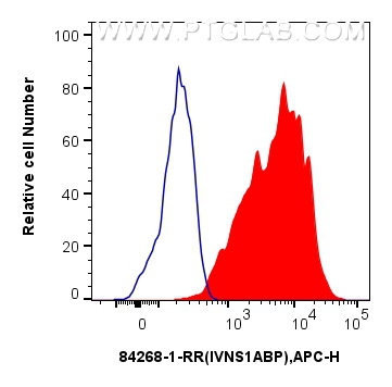 Flow cytometry (FC) experiment of HeLa cells using IVNS1ABP Recombinant antibody (84268-1-RR)