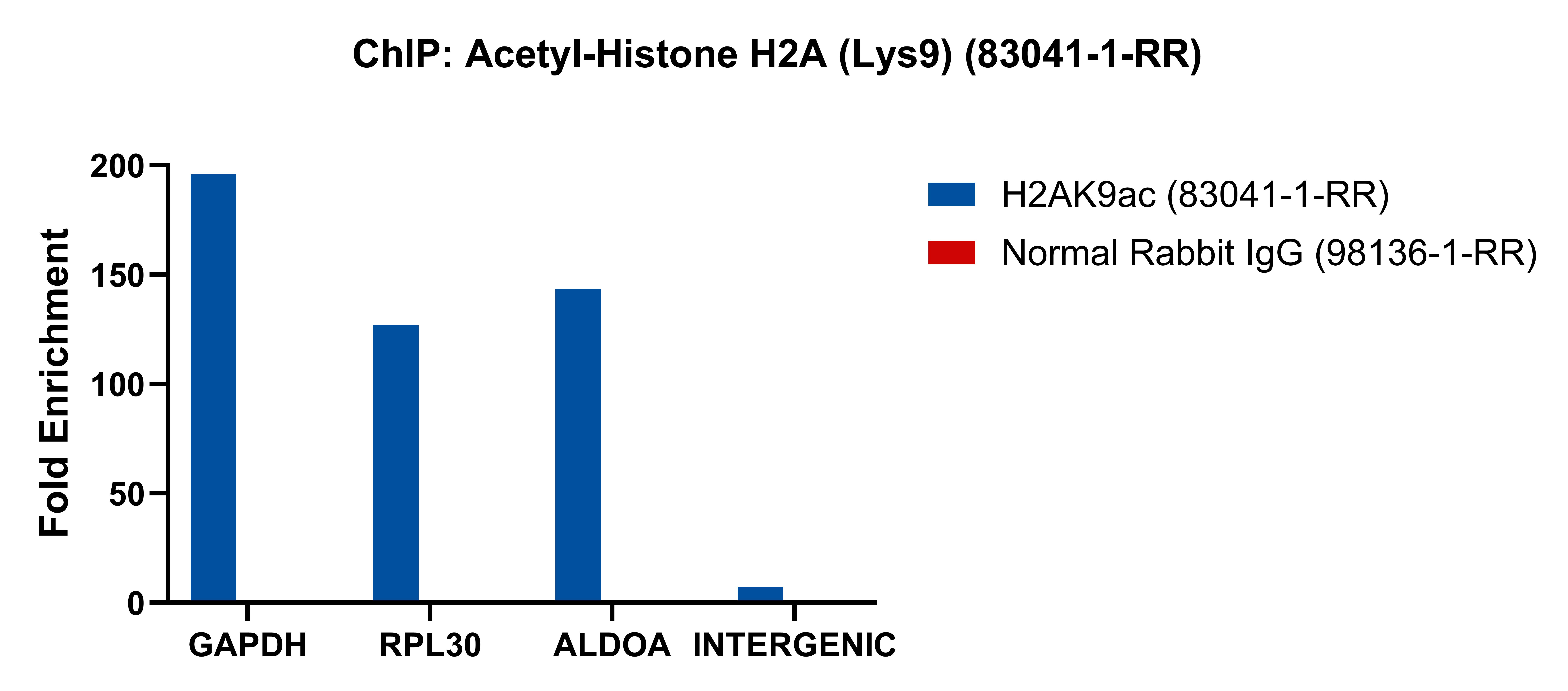 ChIP experiment of HeLa cells using Rabbit IgG Isotype Control Recombinant Antibody (98136-1-RR)