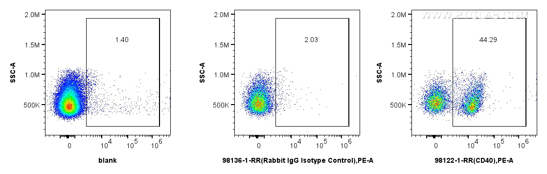 Flow cytometry (FC) experiment of mouse splenocytes using Rabbit IgG Isotype Control Recombinant Antibody (98136-1-RR)